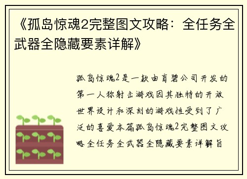 《孤岛惊魂2完整图文攻略：全任务全武器全隐藏要素详解》